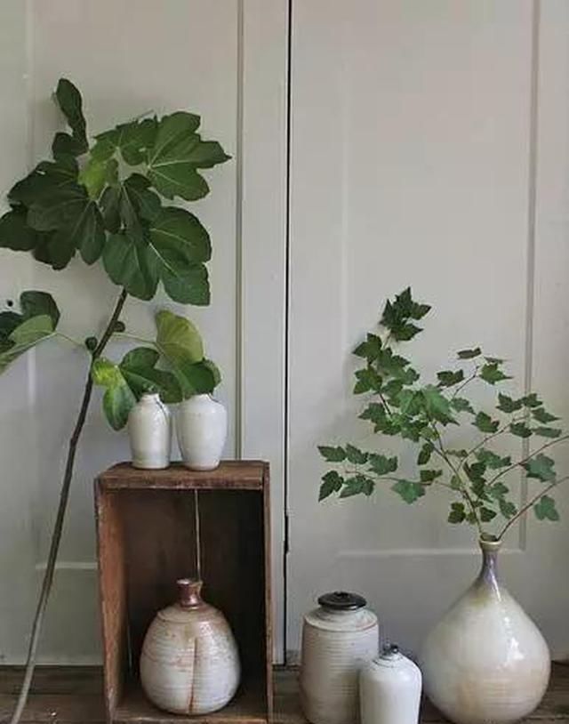  「插花」简单插花，换一个好心情