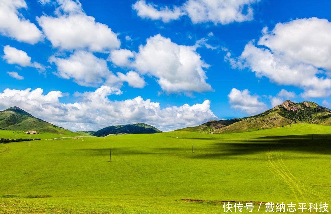 一望无际的大草原上，为什么不长树看完解开我多年的疑惑！