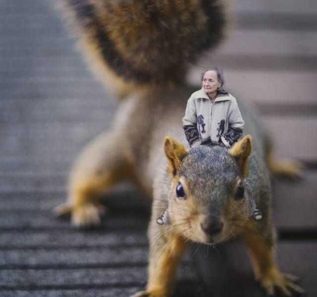 8岁开始摄影,没上过一天学的他,天才创作已超过2亿次点击