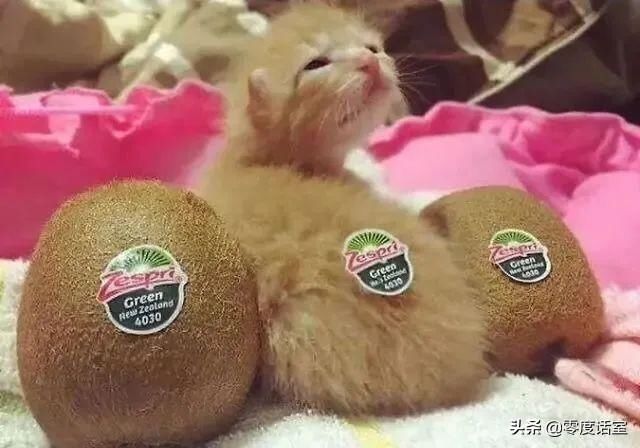  #身为#身为一枚吃货，馋起来看啥都像吃的！