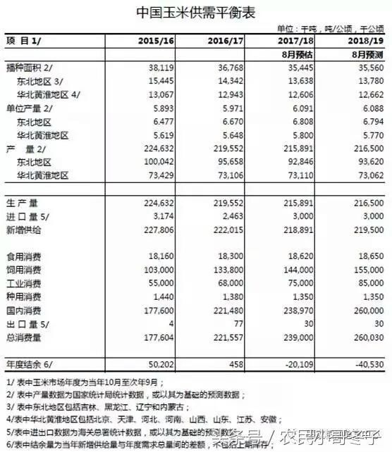 今年玉米缺口将达2000万吨，今年玉米价格将看涨