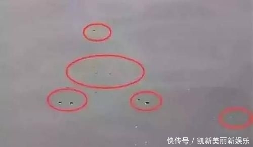  「信号」野钓发现3种信号，说明“大家伙”来了，万万不要胡乱提竿！