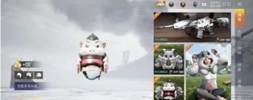  「皮肤」和平精英：“萌萌仓鼠”上线，首款皮肤明码标价，装饰皮肤可爱动人