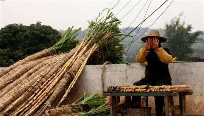  南方：南方多地淘汰的作物，如今一斤4元，整棵都能卖，还能种吗