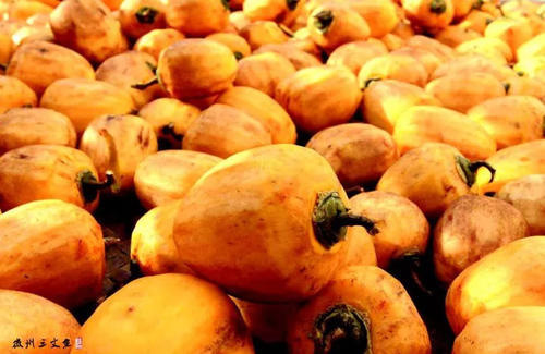 比宏村人少,比篁岭更美!浙江周边藏着一座隐世小村落,拥有最撩