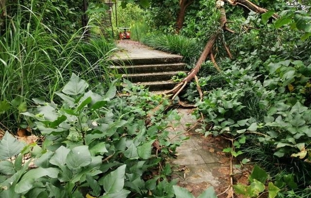 重庆主城这座公园开放1年便荒废，内有著名古塔曾是重庆航标