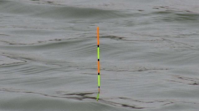  「思路」漂尾细看不清加粗尾又不灵敏换个思路，用扁尾浮漂破解困扰
