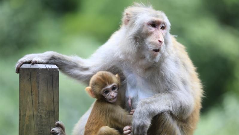 隐藏在南川的绿野仙踪，避暑旅游，清凉打卡不容错过！