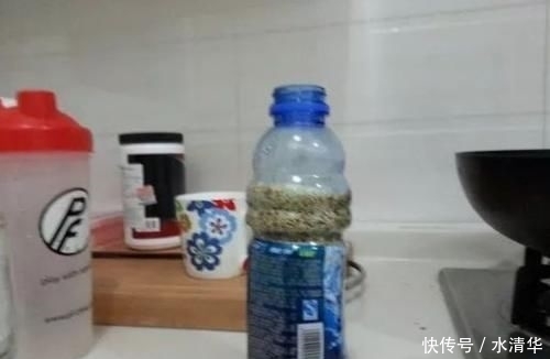 #自制#要想鱼上岸就拿粮食换!图文详解自制特效鲫鱼窝料