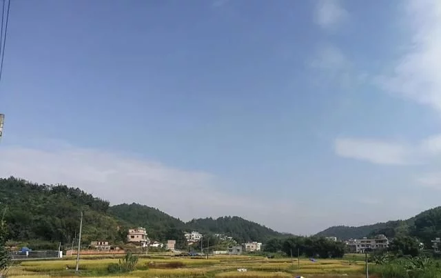 农民抛荒良田的根源在哪里?怎么解决农村的良田种树和抛荒现象?