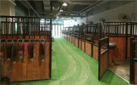 商场养15匹马臭气熏天 城管：开具整改单马匹现已运走