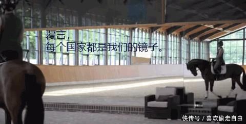 特朗普与巴西总统通话