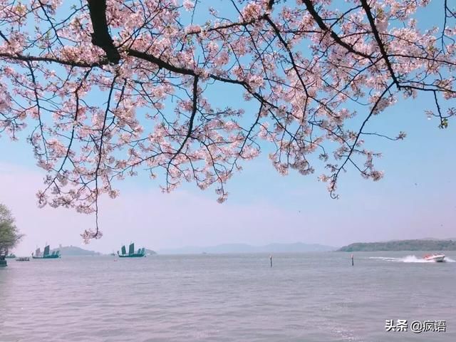 这几个地方景色太美还免费,网友大呼:辞职也要去看看