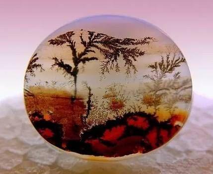 这些万年石头里都藏着一幅画，神奇到你难以置信！！