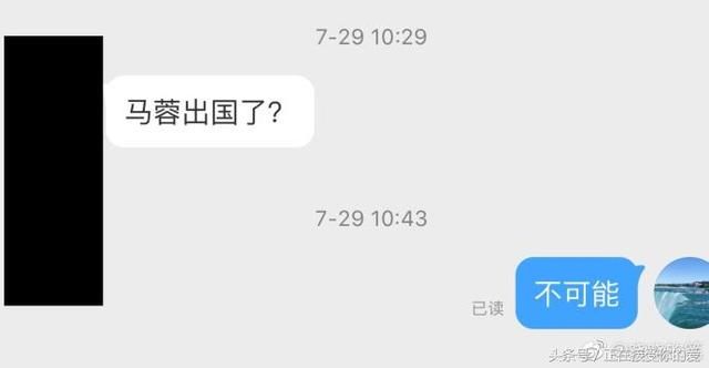 马蓉好友正式开撕，聊天记录信息量太大，出国为假出轨为真？