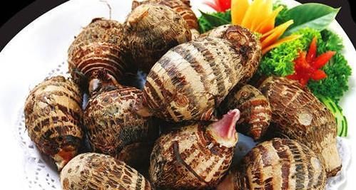 「会有一定」土豆发芽不能吃,芋头发芽了还能吃吗?吃芋头的好处你知道吗?