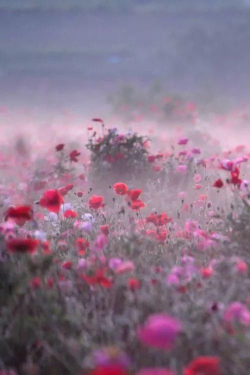 奇妙风光，难得一见