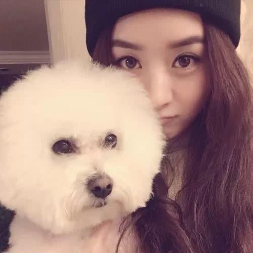 赵丽颖力破谣言？网友却拍到不一样的画面，爱犬还被寄养给朋友！