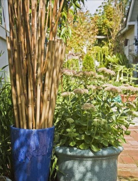 庭院不需太奢华，或一盆花，或一个老物件就能让庭院惬意起来