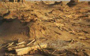 楼兰古国消失原因探索，一夜之间全城荒废