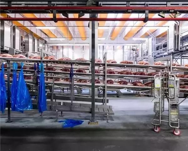 4000万猪农危机了!全球最大猪企杀入中国，这种打法让大家服了