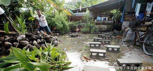  [公交车]世界上最可怜的国家, 全国只有两辆公交车, 最愿搬迁到