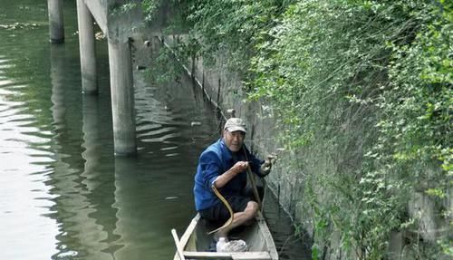 「更肥」为什么河岸边石头缝里钓到的黄鳝更肥更大?老头给了我答案