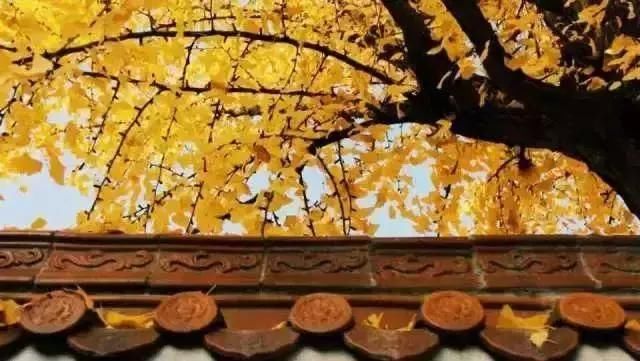 《延禧攻略》竟把陕西的陕西灵秀美景藏了进去！