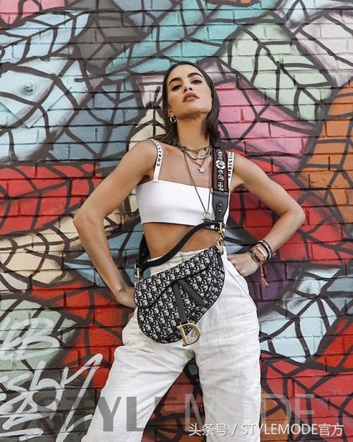 Dior已停产的马鞍包再次翻红