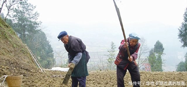 取消农村户口后，几年后，土地最终究竟会落到谁的手上