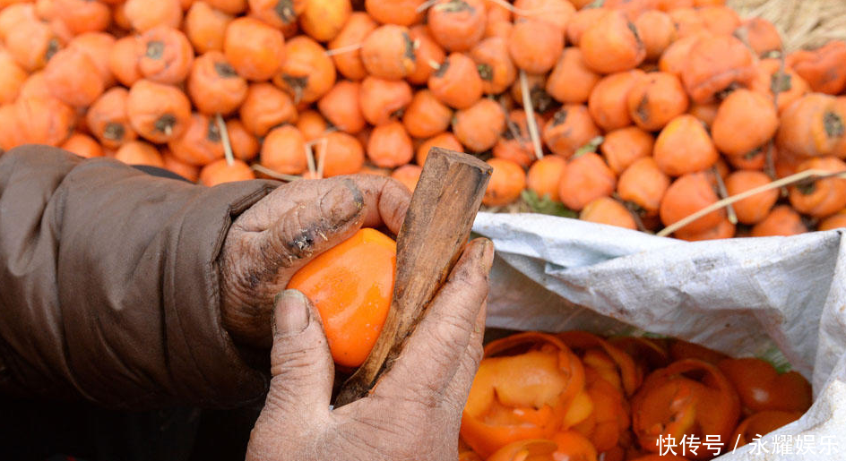 农村老媪打工给柿子削皮，削一斤1毛钱，一天削300斤挣30元