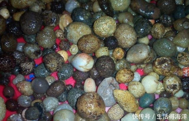 我国身价“最高”的湖泊，玛瑙等遍布湖床，曾不知情被挖走近20亿