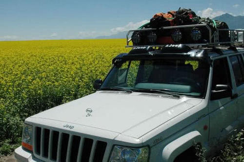 自驾游出行，为何不在车里睡觉，却要去住酒店？答案是实话