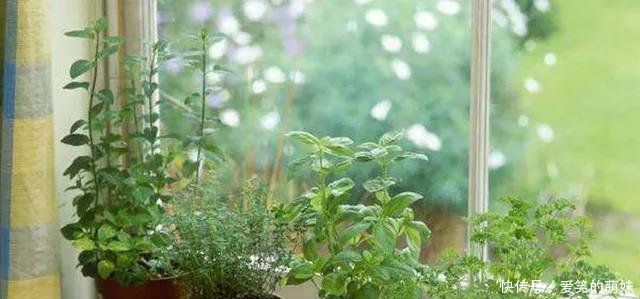 夏天厨房太热怎么办老司机教你4招解决