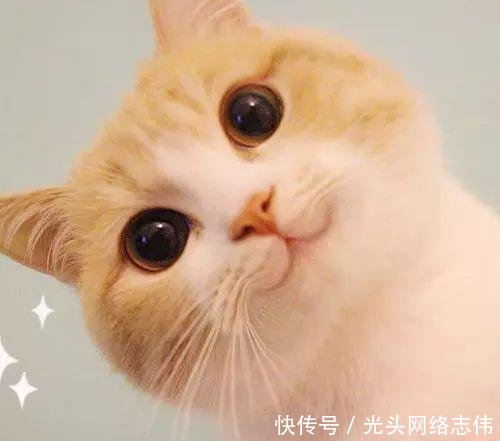  [徐州]@徐州42.6万名企业退休人员！调整和补发的养老金到位啦，