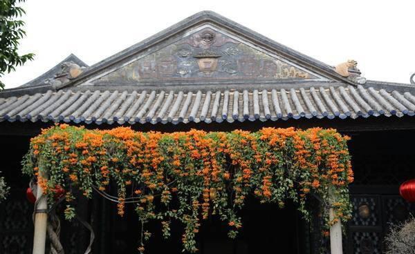 广东四大著名园林，里面满满都是岭南特色，你去过吗？