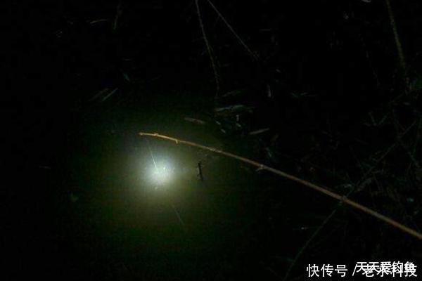 『鲶鱼』民间野钓狠招数:夏季插杆夜钓鲶鱼技巧,这是最简单的鲶鱼钓法!