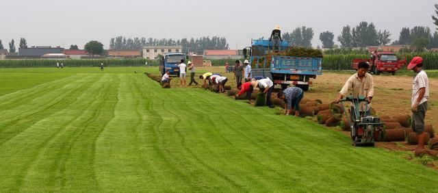 农村有哪些比较好的致富门路呢？几个适合在农村的创业项目！