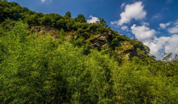 皖、浙两省交界处，有一个大裂谷处处断崖绝壁，藏有四“大”特色