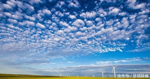 这是一张巴彦淖尔的“新名片”