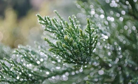  大寒节@小寒到了，俗语“小寒大寒，冻成一团”啥意思？小寒节气