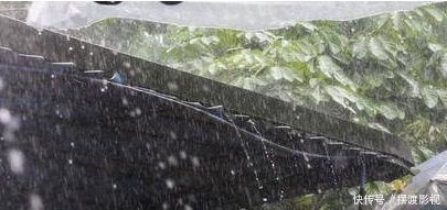 世界上一个潮湿的村庄：一年中330天在下雨，村民依然不愿搬走