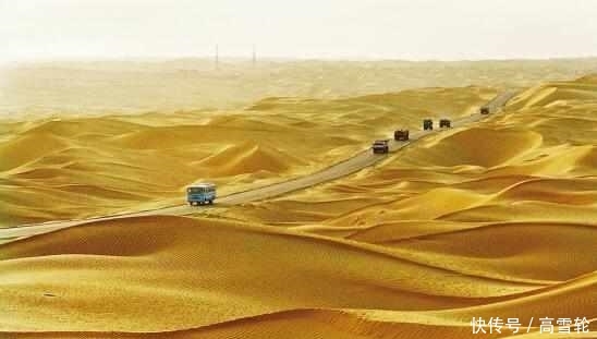 中国最大的沙漠带, 政府花数亿种下大量植物, 如今竟成这个样子