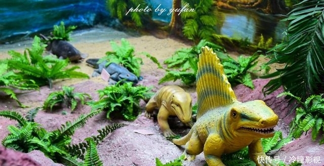  #恐龙蛋化石#世界上恐龙蛋最多的地方竟然就在广东，密密麻麻，