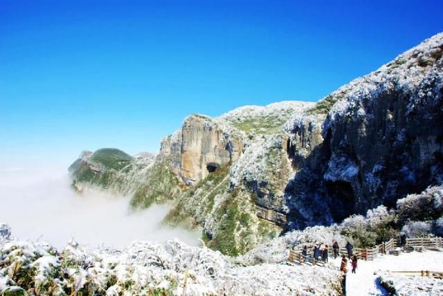 周末走起,南川金佛山出现雾凇景观
