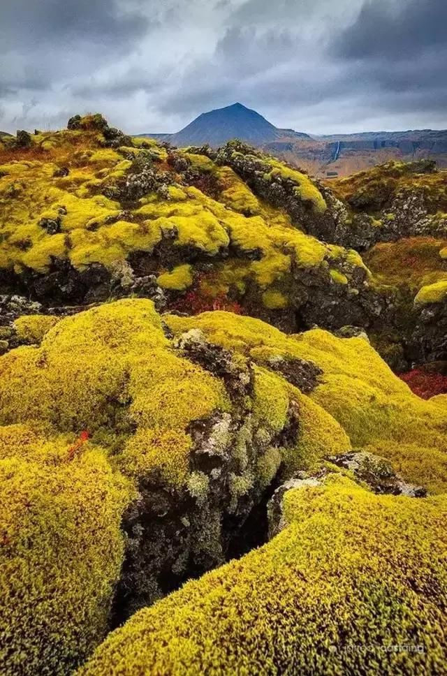 美图50幅绝美大片,用光影展现世界之美!