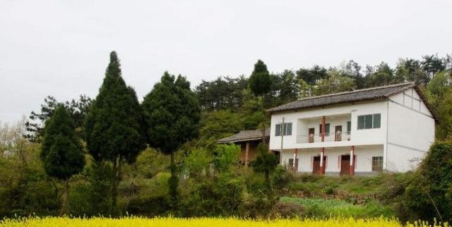 在农村，一家人的户口是分户好呢，还是不分户好呢？可算知道了