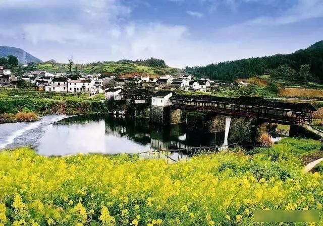 「樱花」中国这些花开成海的地方,美极了