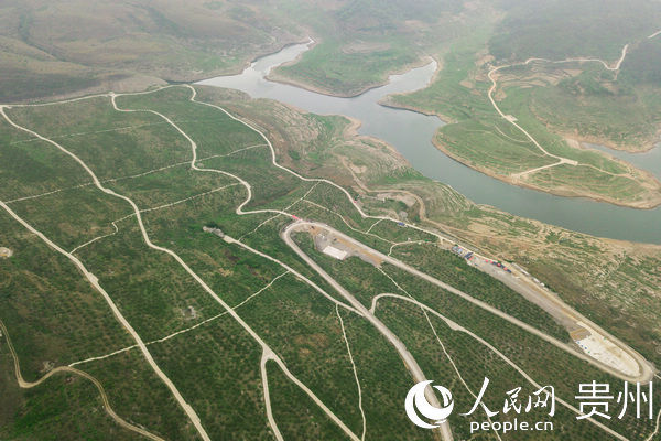  大方@贵州大方：千亩荒山变果园 拓宽群众致富路