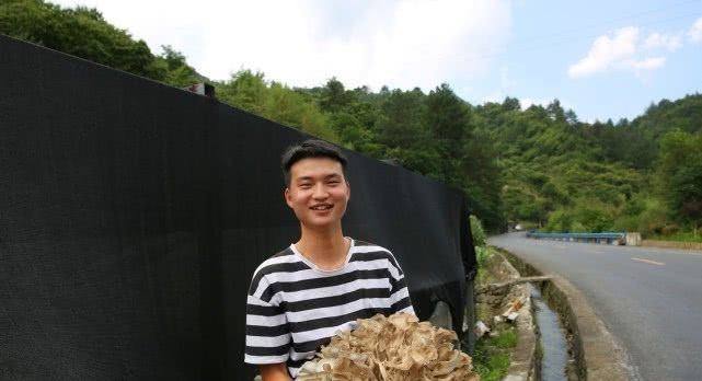  「小伙」陕西农村小伙毕业回家种植稀罕物，一年能收6万斤每斤能